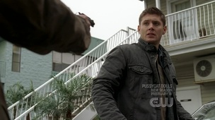 Mystery Spot Pictures - Supernatural Fan Site Mystery Spot Pictures - Supernatural Fan Site